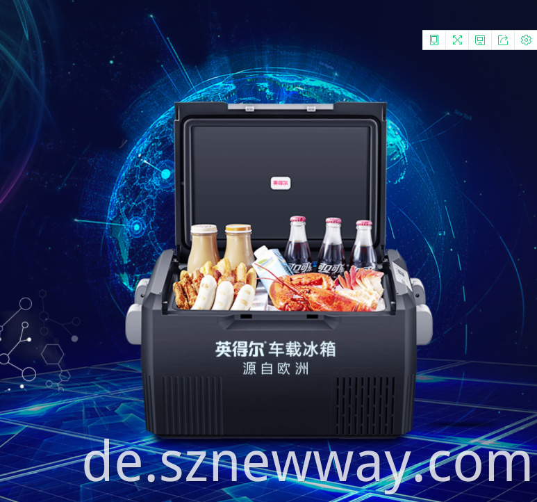 Indelb Portable Mini Car Refrigerator